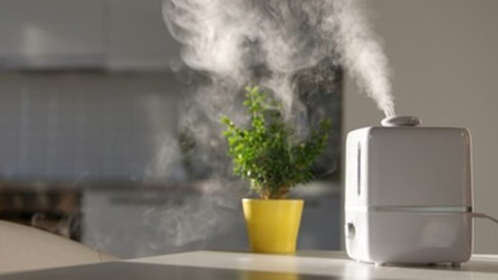how to choose a humidifier